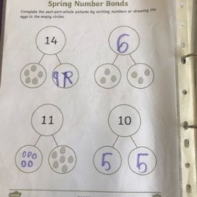 image2 (1)